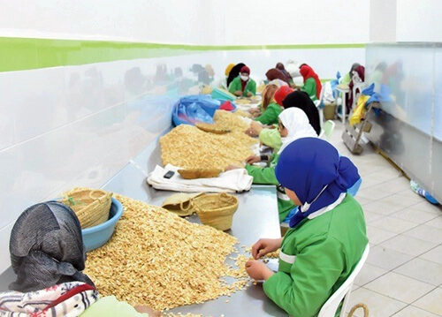 Wholesale natural Moroccan cosmetics manufacturing